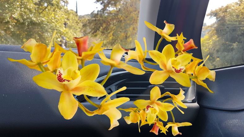 aire acondicionado en el coche del que salen flores amarillas animadas